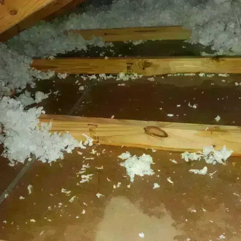 Attic Water Damage in Perezville, TX