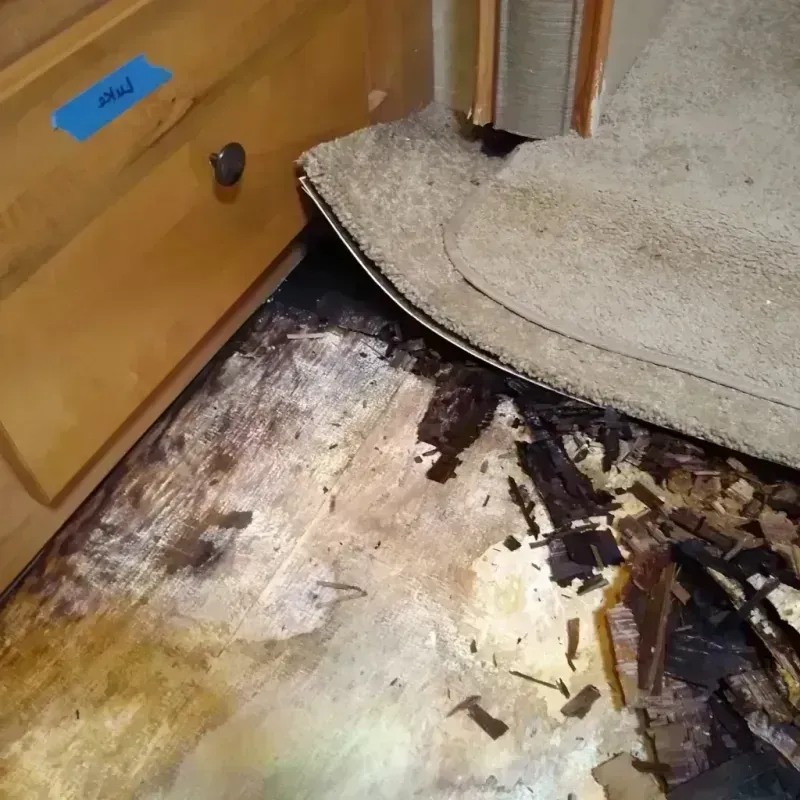 Best Wood Floor Water Damage Service in Perezville, TX